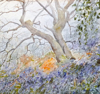 Bluebells in the Outwards, a painting by Alan Stark